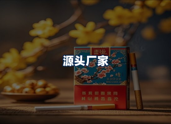 专业团队办公环境